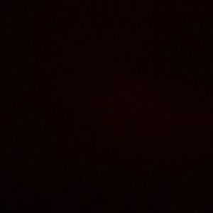 Meet your Posher, Carson